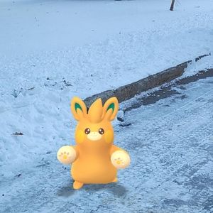 Meet your Posher, Ariel